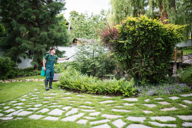 How Our Tree Care Process Works  in  Wayzata, MN