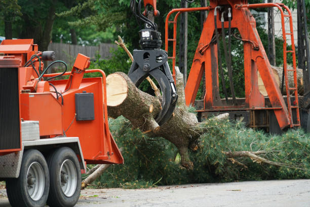 Best Lawn Watering Services  in Wayzata, MN